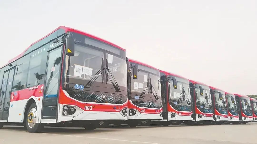 1753436333510 7b86d93572747692489d3c74f8cf388a